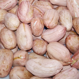 Raw Groundnuts From Serres Greece